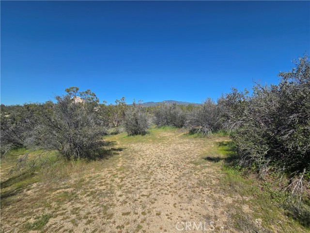 Detail Gallery Image 13 of 14 For 0 Pony Trail, Anza,  CA 92539 - – Beds | – Baths