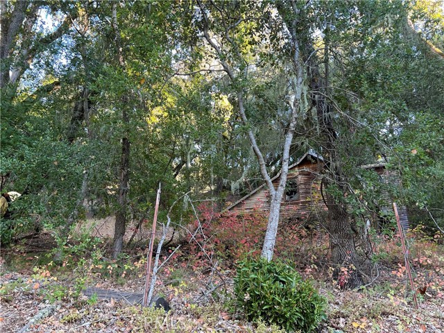 Detail Gallery Image 5 of 30 For 0 Shadow Canyon Rd, Templeton,  CA 93465 - – Beds | – Baths