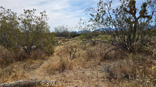 Detail Gallery Image 20 of 49 For 0 103rd St East Vicinity W14, –,  CA 93543 - – Beds | – Baths