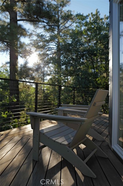 1554 Coyote Court, Big Bear City CA: https://media.crmls.org/medias/cf218de5-7875-403c-a853-21f51c87a6af.jpg