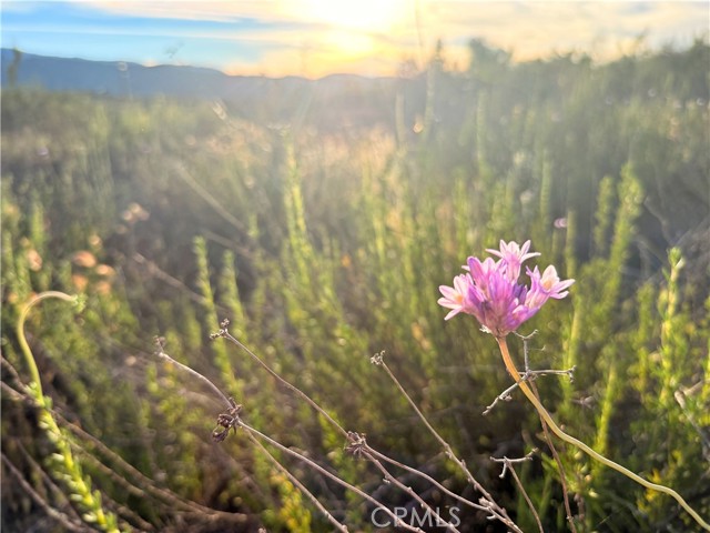 Front Image Thumbnail for CRND26065255