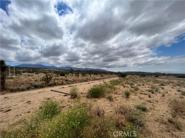 0 Vac/Vic Bobs Gap Rd/175 Ste, Llano, California 93544, ,Land,For Sale,0 Vac/Vic Bobs Gap Rd/175 Ste,CRHD23112703