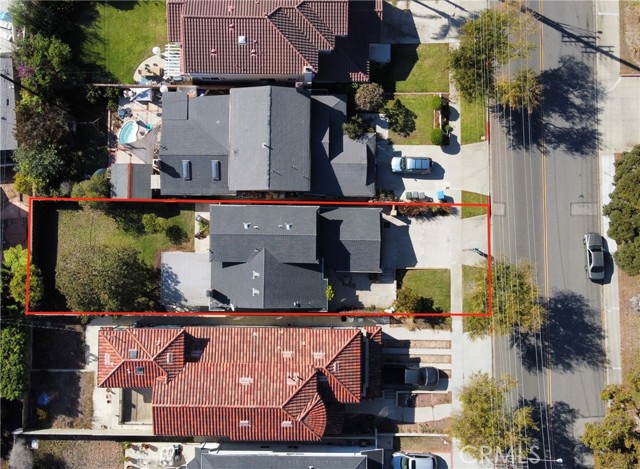 Big backyard and giant Avocado tree!