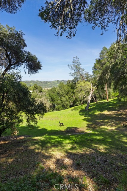 Detail Gallery Image 70 of 75 For 5550 Las Tablas Bay, Paso Robles,  CA 93446 - 4 Beds | 2 Baths