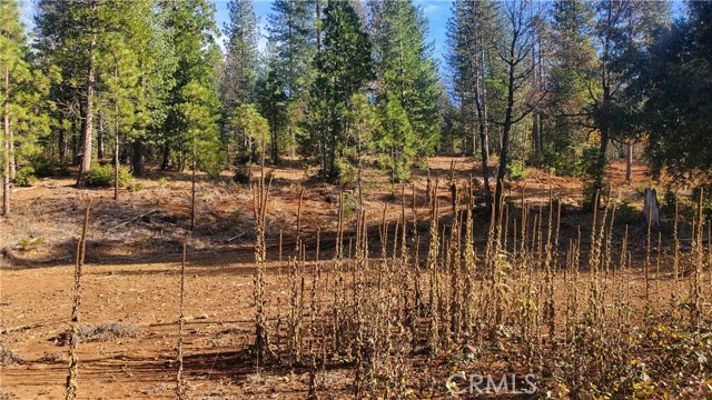 1 Coutolenc Road, Magalia, California 95954, ,Land,For Sale,1 Coutolenc Road,CRSN23217034