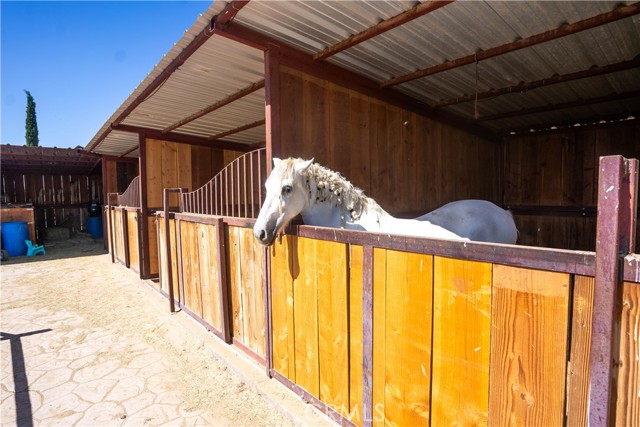 Detail Gallery Image 63 of 75 For 11050 Bolinas Rd, Oak Hills,  CA 92344 - 4 Beds | 3/1 Baths