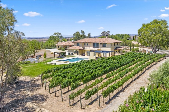 39547 Calle Cabernet, Temecula CA: https://media.crmls.org/medias/cf37e0c8-380d-4394-80ca-c733d53c6a09.jpg