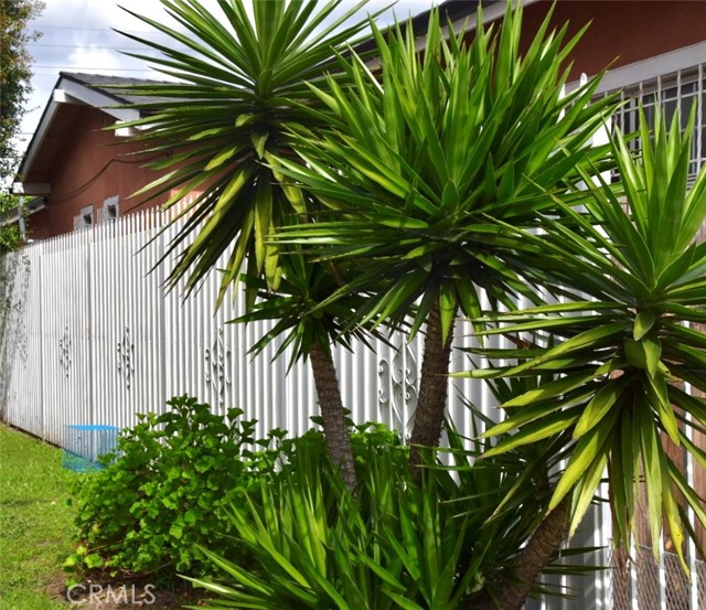 Detail Gallery Image 16 of 16 For 1945 W Vernon, Los Angeles,  CA 90062 - 5 Beds | 4 Baths