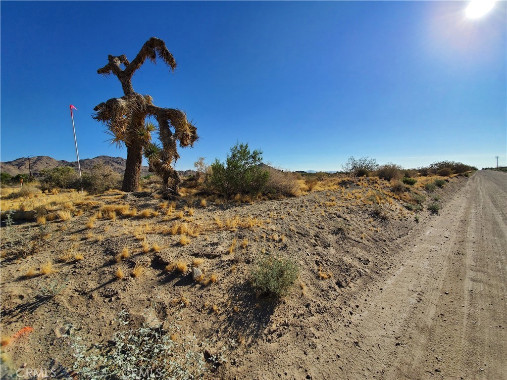 MLS #SB25114348 img 8