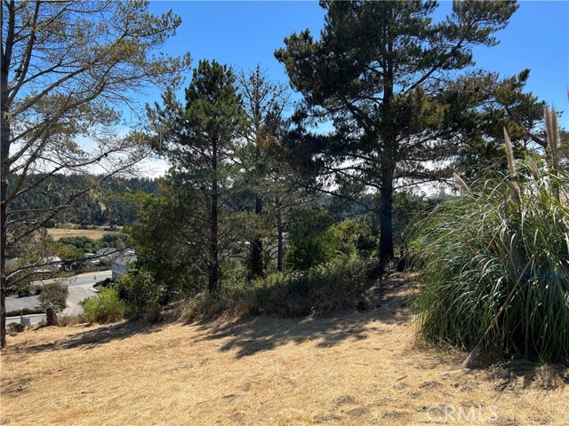 4925 Grove Street, Cambria, California 93428, ,Land,For Sale,4925 Grove Street,CRSC23001880