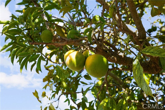 Detail Gallery Image 65 of 68 For 5168 Indian Ct, Oceanside,  CA 92057 - 2 Beds | 2 Baths