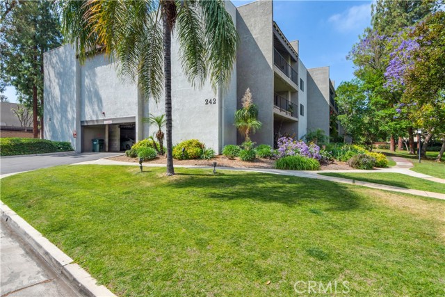 242 E Fern Avenue, Redlands CA: https://media.crmls.org/medias/cf44016b-55c9-4e38-88ce-b6a3e1528ecb.jpg