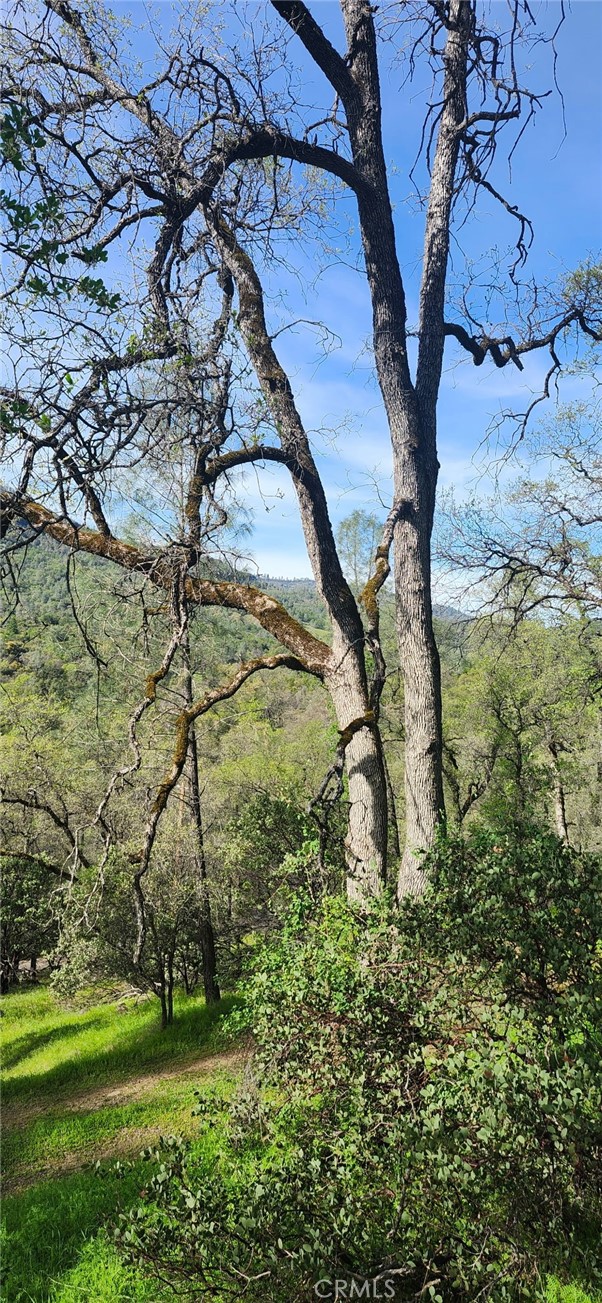 Detail Gallery Image 21 of 23 For 13566 Helltown Parcel 1, Chico,  CA 95928 - – Beds | – Baths