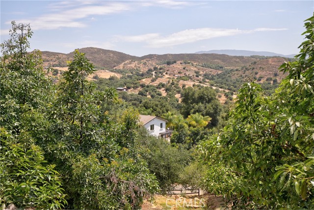 Detail Gallery Image 44 of 55 For 32840 Lilac Rd, Valley Center,  CA 92082 - 4 Beds | 2/1 Baths