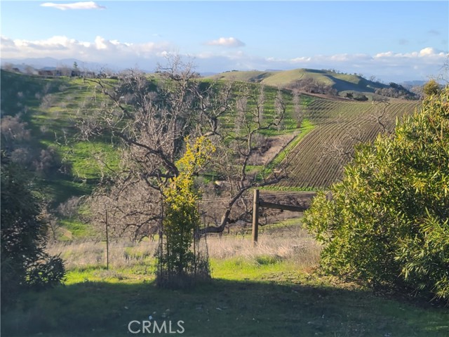 Detail Gallery Image 9 of 21 For 9308 Chimney Rock Rd, Paso Robles,  CA 93446 - 6 Beds | 4 Baths