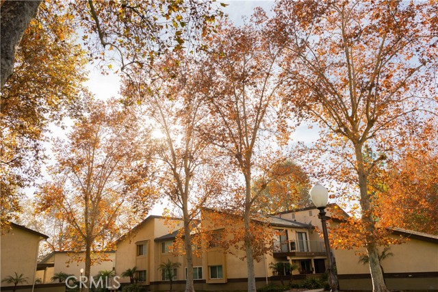 Detail Gallery Image 52 of 55 For 1219 N Edwards St #33,  Redlands,  CA 92374 - 2 Beds | 1 Baths