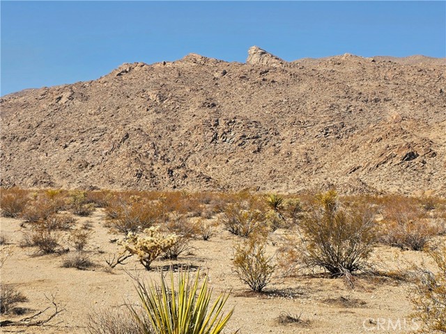 Detail Gallery Image 3 of 12 For 8138 Utah Trl, Twentynine Palms,  CA 92277 - 2 Beds | 2 Baths