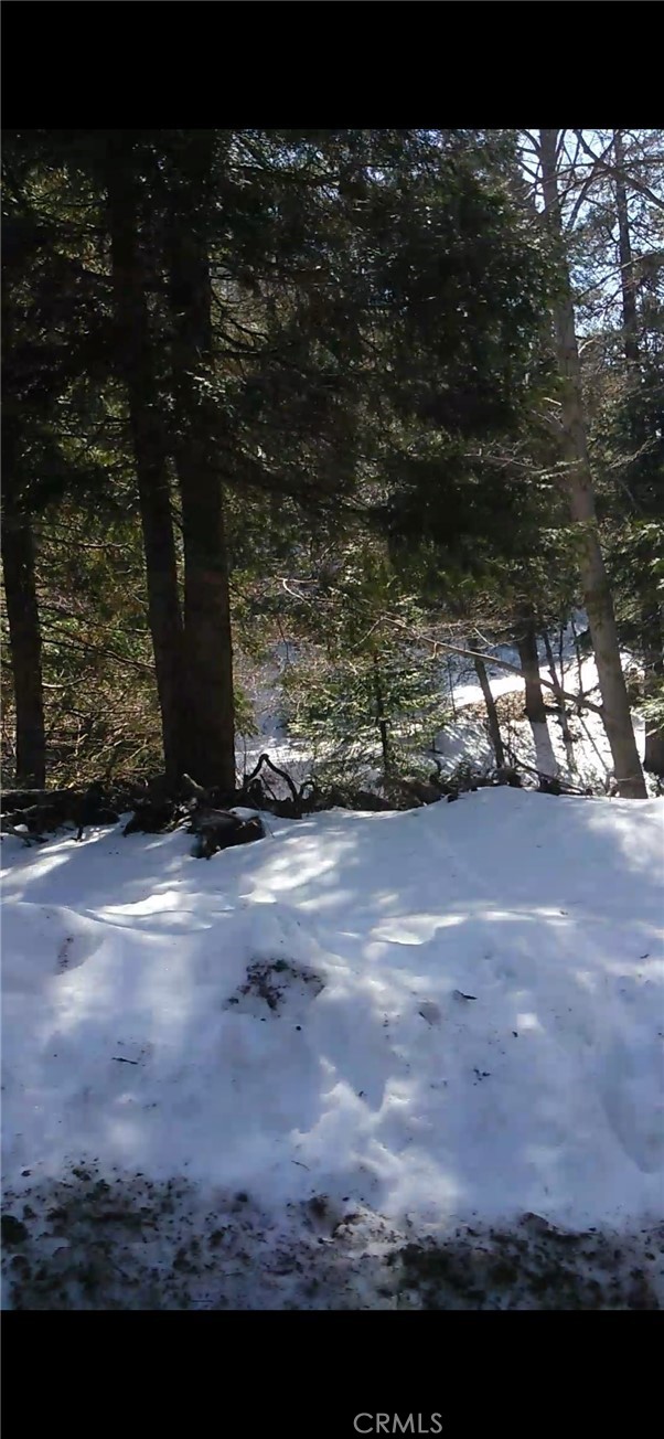 0 Saxon, Crestline CA: https://media.crmls.org/medias/cf58b1b3-dbe9-40de-825e-603b6b35e013.jpg