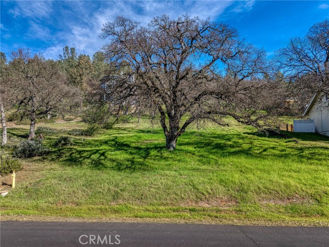 Detail Gallery Image 7 of 8 For 18954 Deer Hill Rd, Hidden Valley Lake,  CA 95467 - – Beds | – Baths