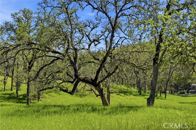 Detail Gallery Image 3 of 14 For 726 Park, Lakeport,  CA 95453 - – Beds | – Baths