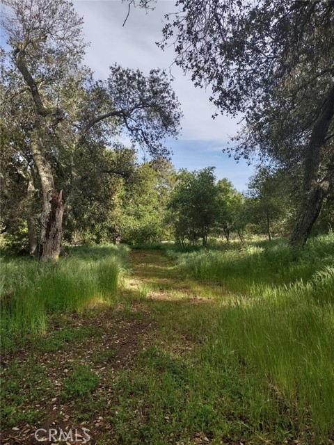 0 Avenida Perla Bonita, Murrieta CA: https://media.crmls.org/medias/cf693312-e61f-48b0-a5b1-abf9a26c0627.jpg