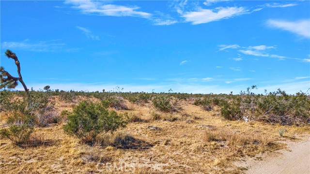 Detail Gallery Image 11 of 17 For 0 Bear Valley Rd, Victorville,  CA 92392 - – Beds | – Baths