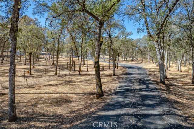 Detail Gallery Image 7 of 70 For 100 Pinedale Ave, Oroville,  CA 95966 - 3 Beds | 4 Baths