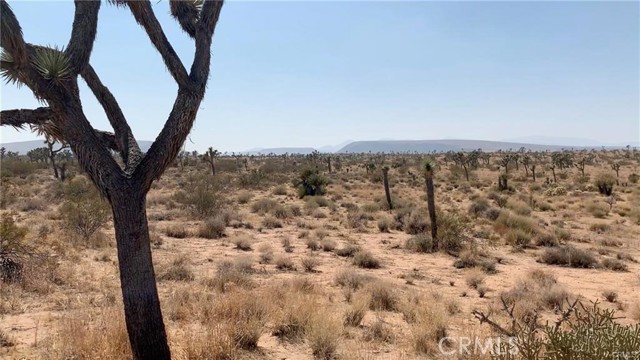 Detail Gallery Image 8 of 18 For 777 La Brisa Dr, Yucca Valley,  CA 92284 - – Beds | – Baths