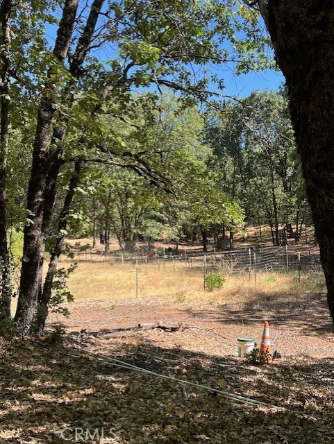 Looking at fenced garden.