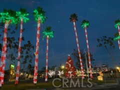 Detail Gallery Image 25 of 32 For 34134 Selva Road #248,  Dana Point,  CA 92629 - 3 Beds | 2 Baths
