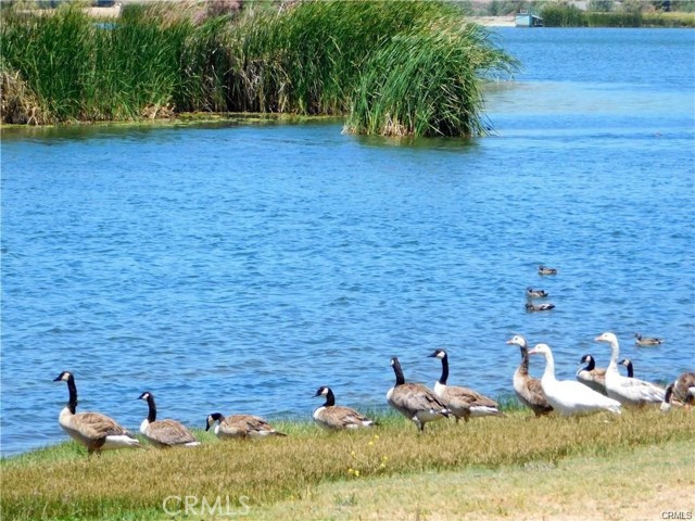Detail Gallery Image 61 of 74 For 49030 Arabian Ct, Aguanga,  CA 92536 - 3 Beds | 2 Baths