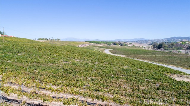 Detail Gallery Image 7 of 29 For 40970 Anza Rd, Temecula,  CA 92592 - 5 Beds | 4/1 Baths