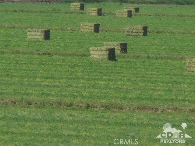 MLS #216029032DA image #5