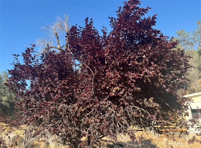 Detail Gallery Image 14 of 50 For 18266 Caliente Creek Rd, Caliente,  CA 93518 - 2 Beds | 2 Baths