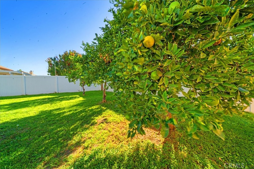 https://media.crmls.org/medias/cf8c3fa6-56de-46f1-8d46-d4d8a7089176.jpg?preset=X-Large