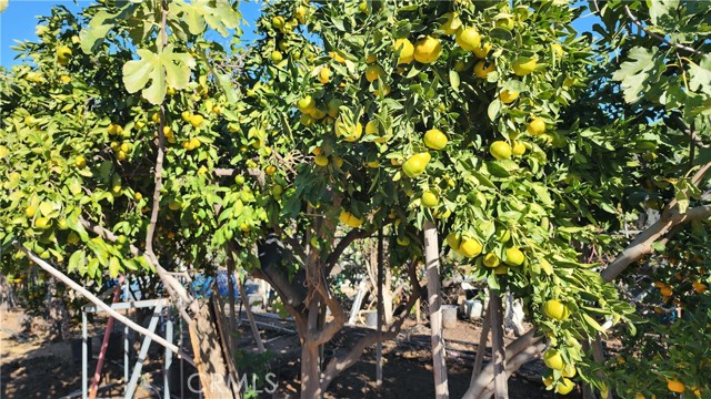 Detail Gallery Image 53 of 68 For 23729 Citrus Ave, Perris,  CA 92570 - 4 Beds | 3 Baths