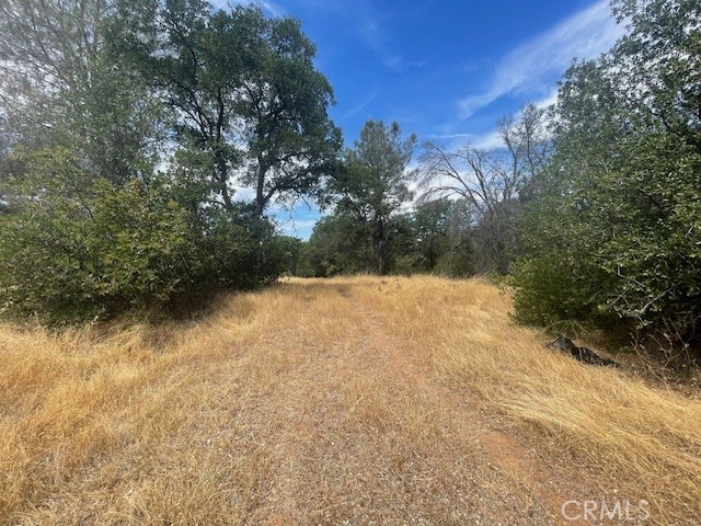 Detail Gallery Image 6 of 10 For 0 Grimont Rd, Oroville,  CA 95966 - – Beds | – Baths