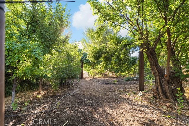 Detail Gallery Image 47 of 73 For 2848 Marigold Ave, Chico,  CA 95973 - 4 Beds | 2 Baths