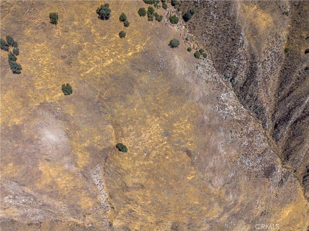 MLS #SR25172825 img 8