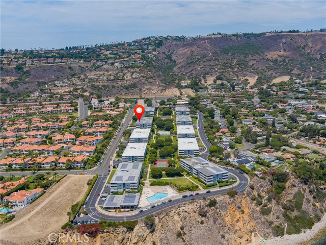 Palos Verdes terrain - hills, hiking, plants, trees.