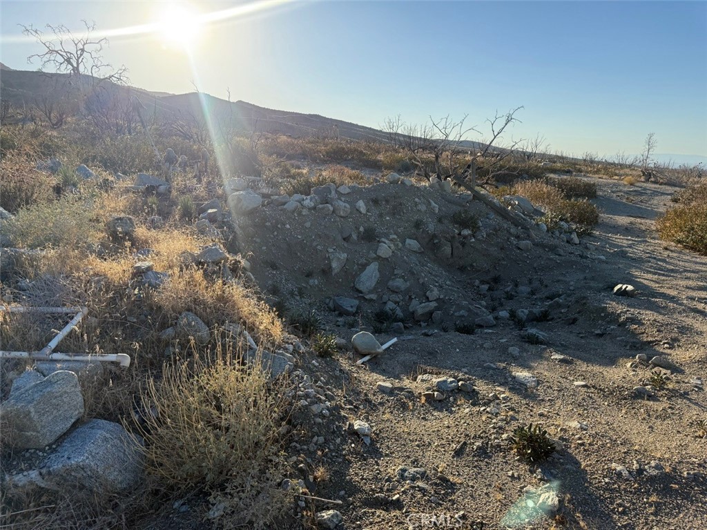 MLS #HD25232723 image #12