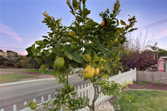 Detail Gallery Image 58 of 75 For 197 Tally Ho Rd, Arroyo Grande,  CA 93420 - 4 Beds | 3 Baths