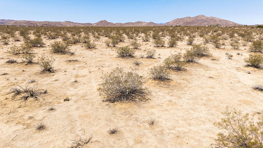 MLS #IG25148495 image #25