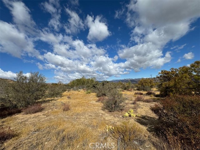 Detail Gallery Image 3 of 9 For 45101 Chapman Rd, Anza,  CA 92539 - – Beds | – Baths