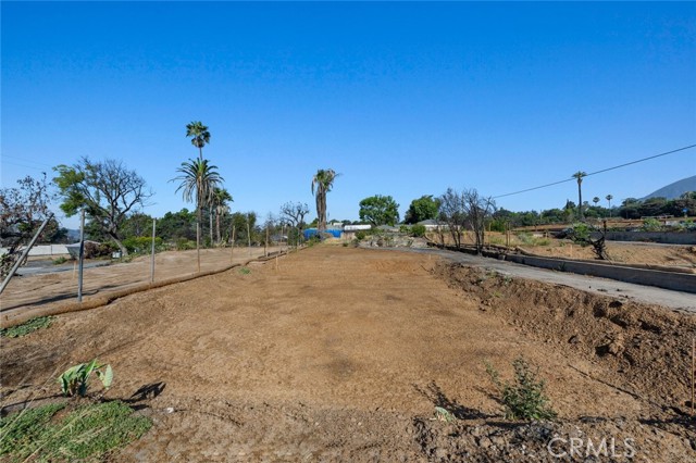 2441 El Molino Avenue, Altadena CA: https://media.crmls.org/medias/cfa5e7c4-c1fd-457e-ac94-78c942ced2f1.jpg