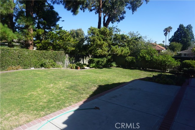 large backyard