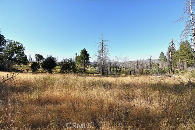 Detail Gallery Image 10 of 19 For 0 Centurion Way, Berry Creek,  CA 95916 - – Beds | – Baths