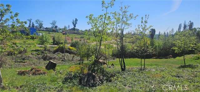 Detail Gallery Image 10 of 16 For 1190 Glen, Paradise,  CA 95969 - – Beds | – Baths