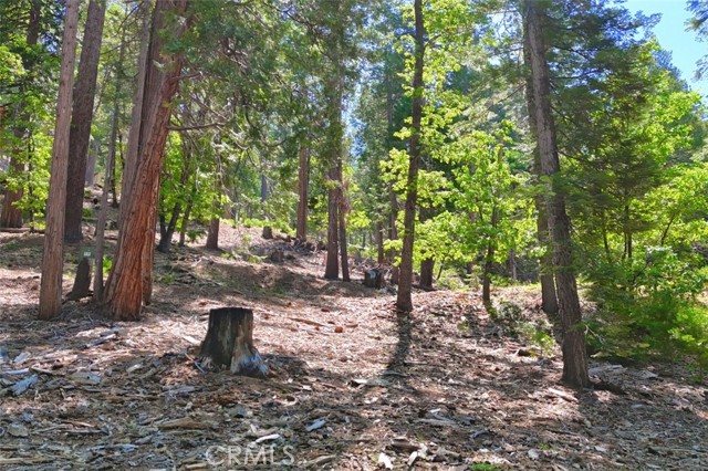 Detail Gallery Image 9 of 15 For 7220 Yosemite Park Way, Yosemite,  CA 95389 - – Beds | – Baths