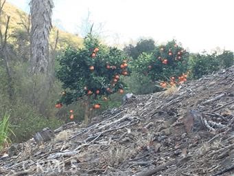 Detail Gallery Image 10 of 11 For 0 via Barranca, Temecula,  CA 92590 - – Beds | – Baths